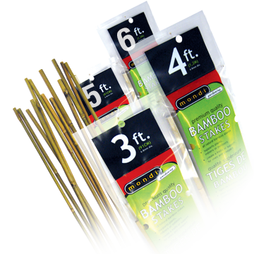 Mondi Bamboo Stake