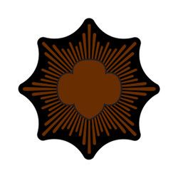 GIRL SCOUT BRONZE AWARD WATER BOTTLE DECALS