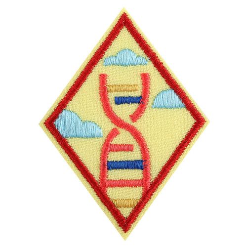 Cadette STEM Career Exploration Badge