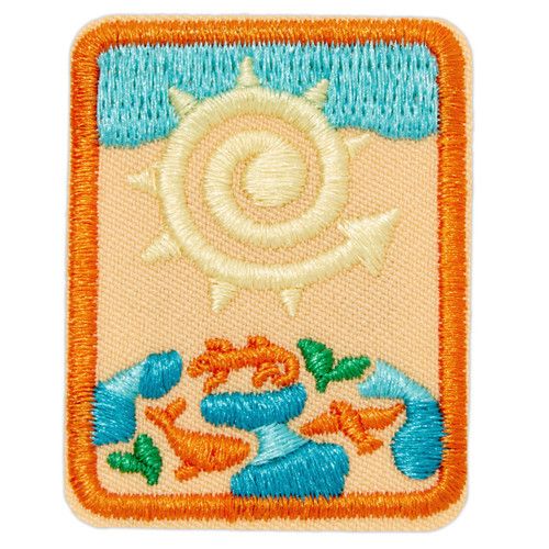 Senior Eco Explorer Badge