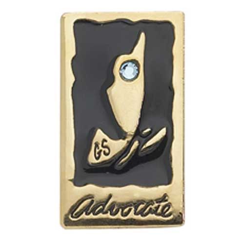 Ambassador Your Voice, Your World Journey Award Advocate Pin