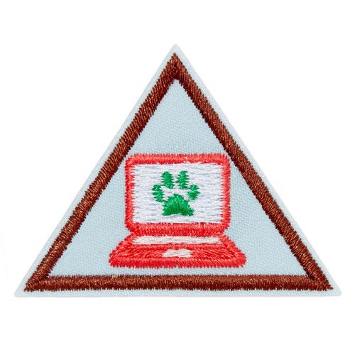 Brownie Cybersecurity Safeguards Badge 2