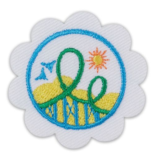 Daisy Roller Coaster Design Challenge Badge