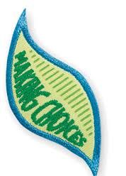 Daisy Making Choices Leaf