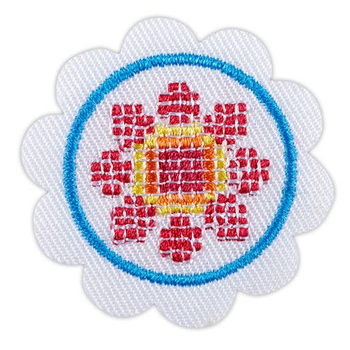 Daisy Think Like A Programmer Award Badge