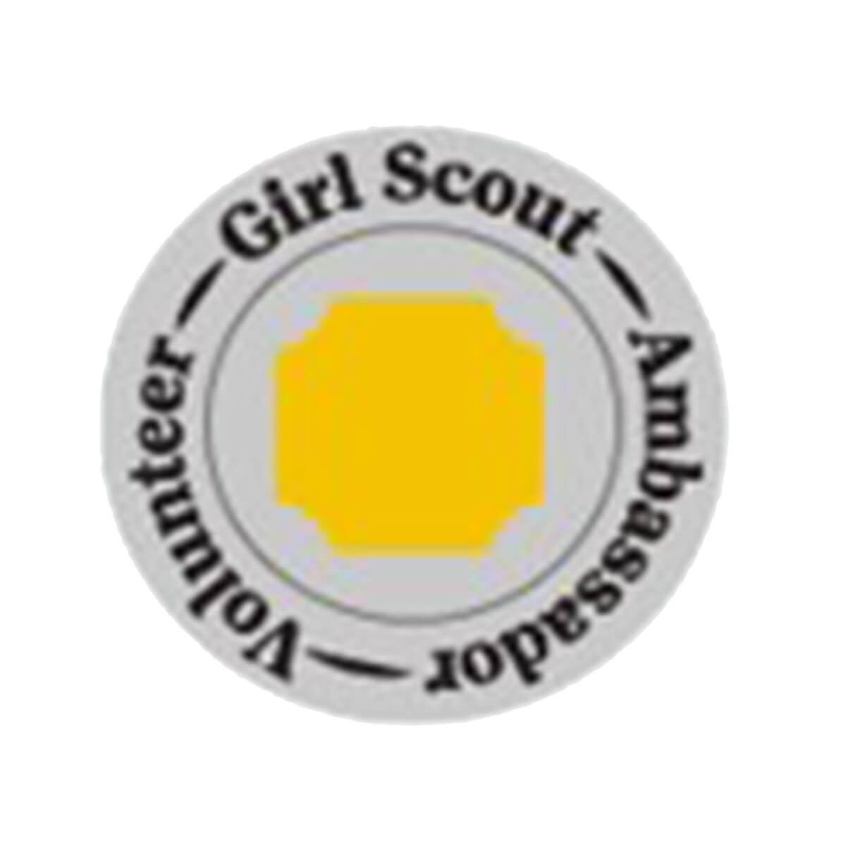 Ambassador Volunteer Pin