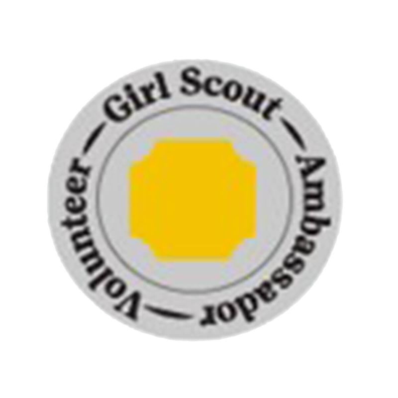 Ambassador Volunteer Pin