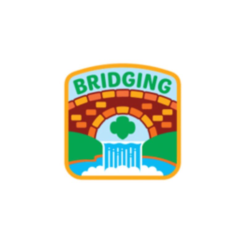 Bridging Waterfall Iron-On Patch (2024)