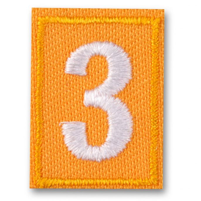 Daisy Troop Numeral