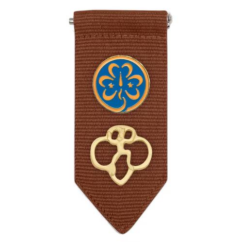 Brownie Insignia Tab