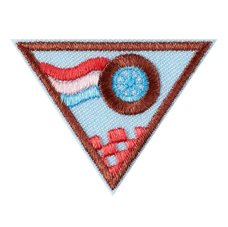 Brownie Race Car Design Challenge  Engineering Badge
