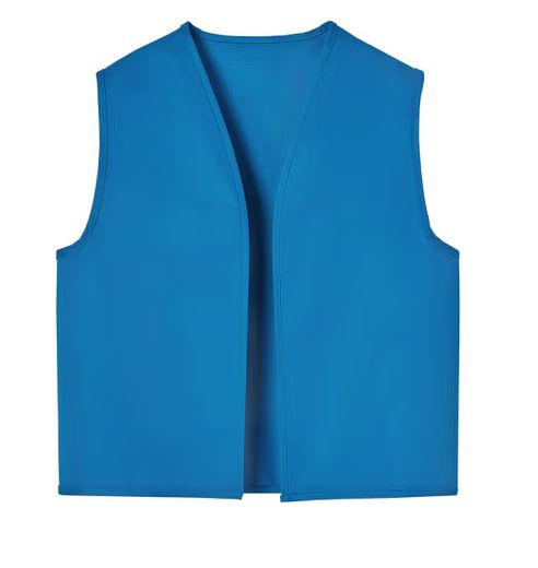 Official Daisy Vest