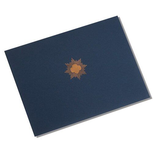BRONZE AWARD CERTIFICATE HOLDER-Single Navy