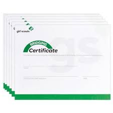 GENERAL BRIDGING CERTIFICATE 2012- SINGLE