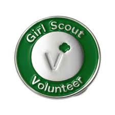 2013 VOLUNTEER PIN