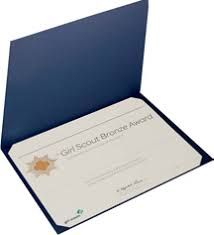 BRONZE AWARD CERTIFICATE - OLD