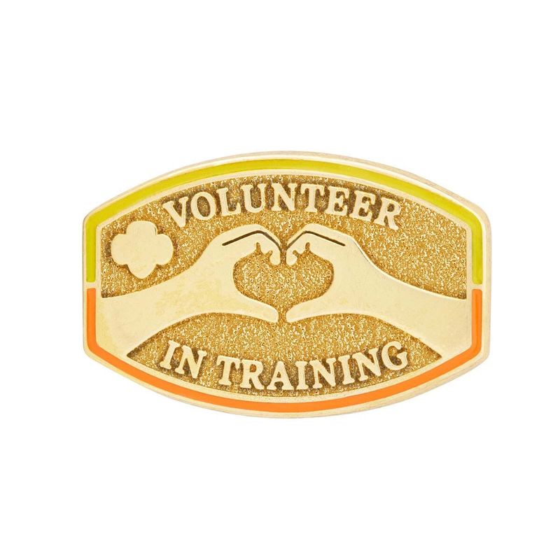 Volunteer In Training l Award Pin (SA)