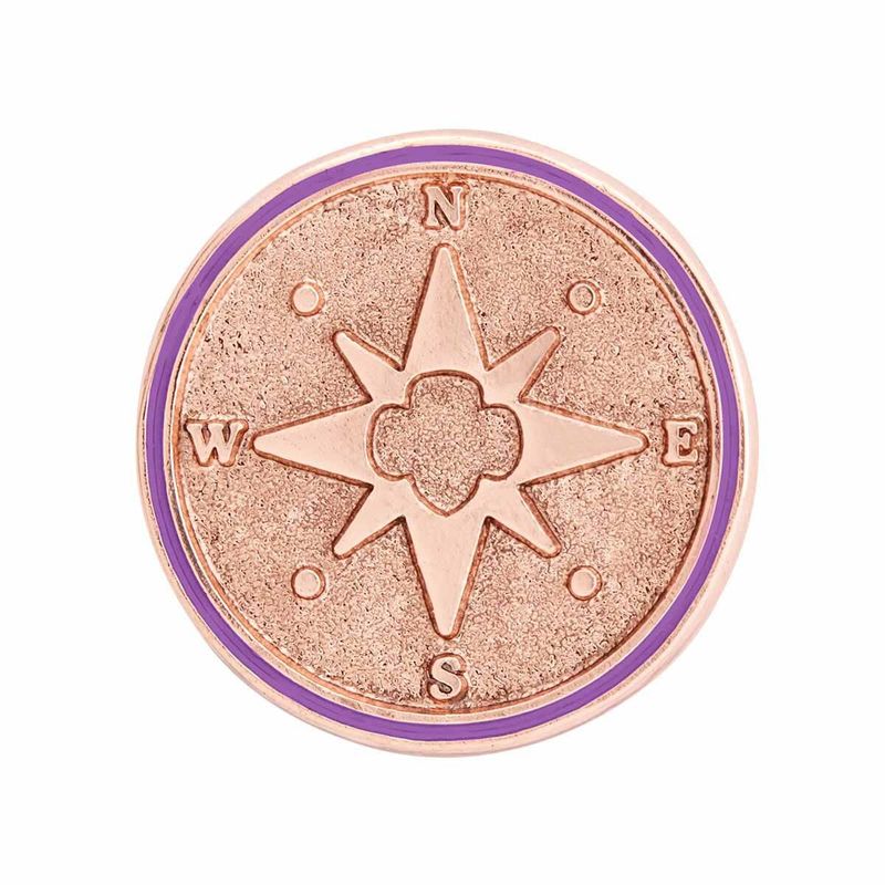 Junior True North Award Pin