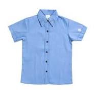 Girl Scout Brownie Shirt, Size: 14
