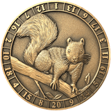 Dice Coins - d20 Squirrel Familiar