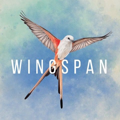 Wingspan 2nd edition
