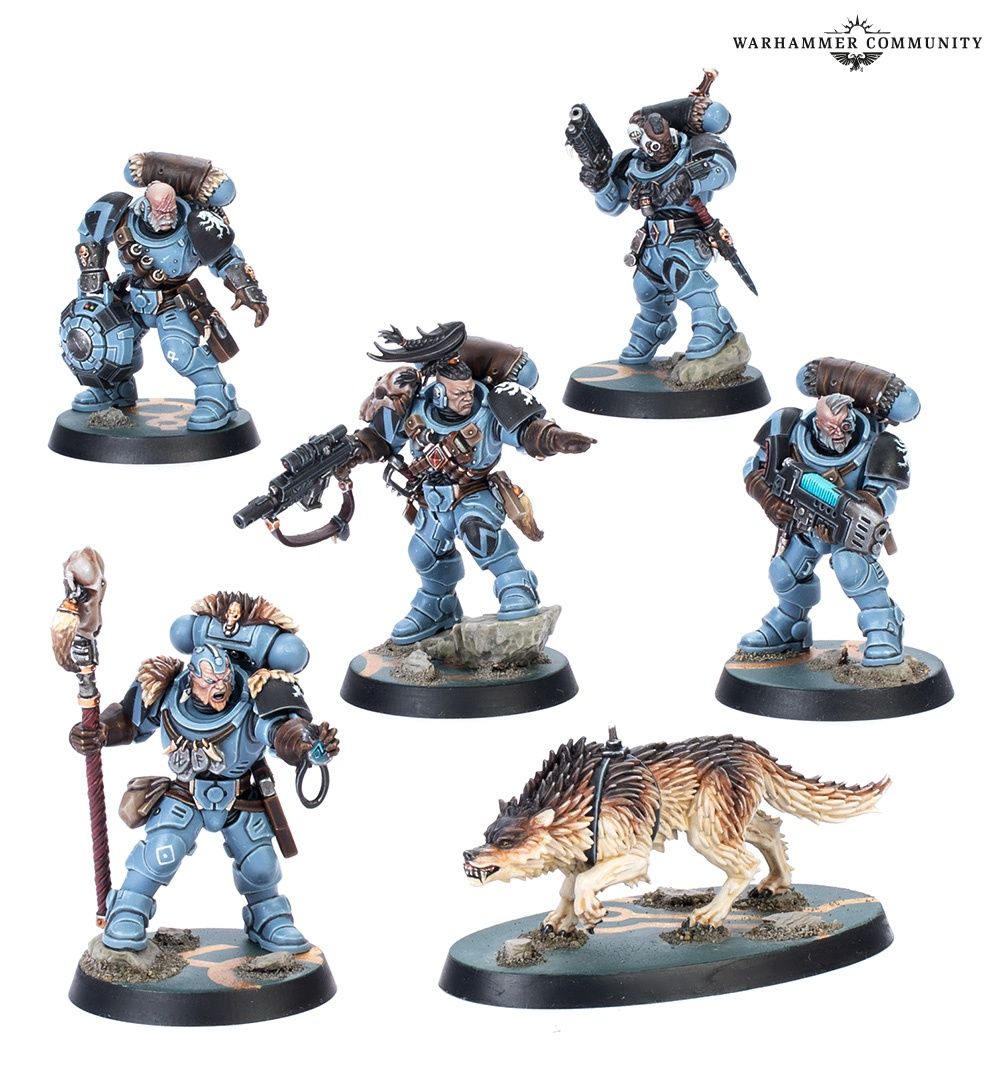 102-11 Kill Team: Wolf Scouts