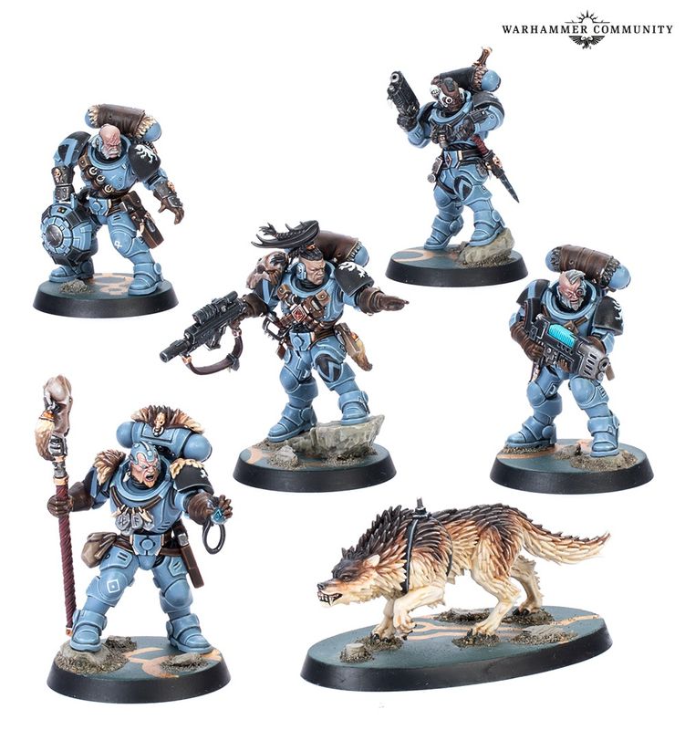 102-11 Kill Team: Wolf Scouts