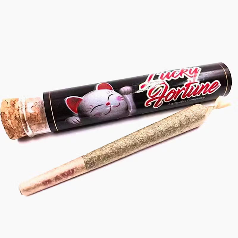 LUCKY FORTUNE - Infused Top Shelf Preroll / 1g
