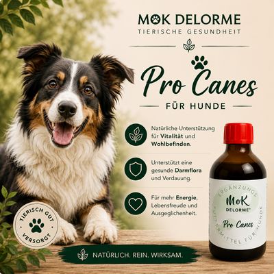 Produkte Hunde