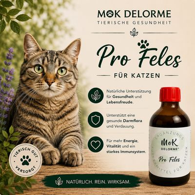 Produkte Katzen