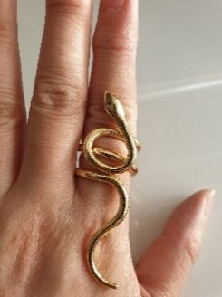 Anillos