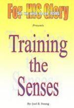 Training The Senses – Audio Download