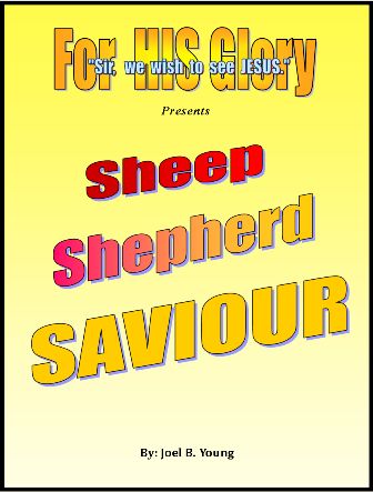 Sheep, Shepherd, SAVIOUR - Audio Download