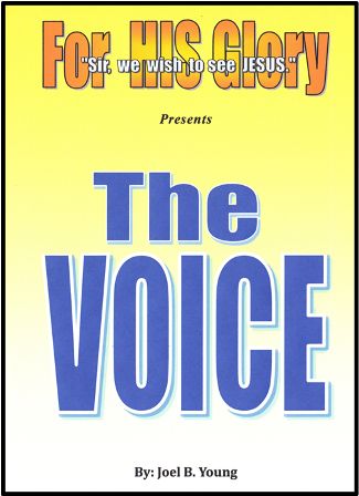 THE VOICE - Audio Download