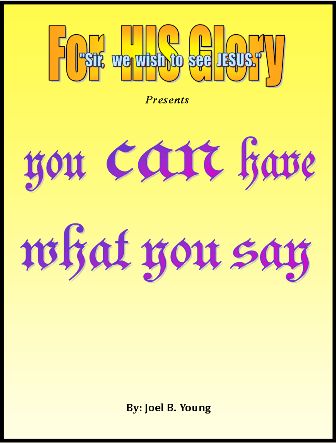 You Can Have What You Say - Audio Download