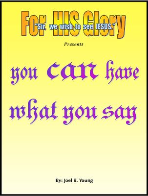 You Can Have What You Say - Audio Download You Can Have What You Say - Audio Download