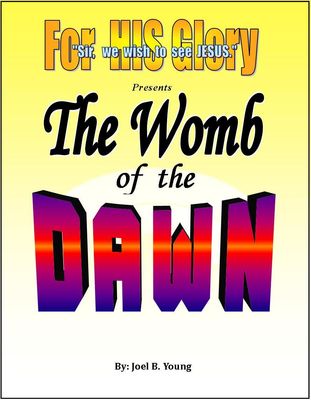 The Womb Of The Dawn- Audio Download The Womb Of The Dawn- Audio Download