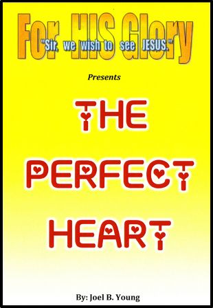 The Perfect Heart, 3hrs35min -Video Download The Perfect Heart, 3hrs35min -Video Download