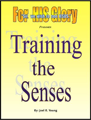 Training The Senses – Video Download