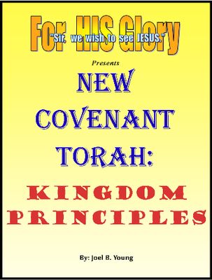 New Covenant Torah series: (#05) -KINGDOM PRINCIPLES -Video-Download New Covenant Torah series: (#05) -KINGDOM PRINCIPLES -Video-Download