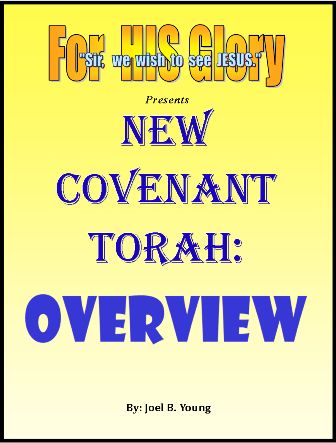 New Covenant Torah series: (#01) -OVERVIEW -Video-Download New Covenant Torah series: (#01) -OVERVIEW -Video-Download
