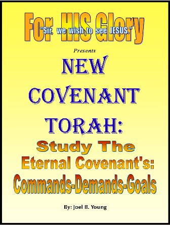New Covenant Torah series: (#12) -Study The Eternal Covenant's COMMANDS, DEMANDS, GOALS  -Video-Download