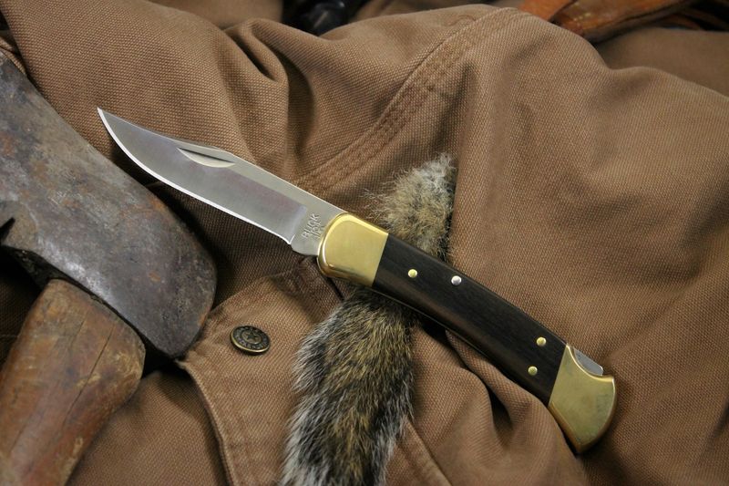 Buck 110 Folding Hunter Lockback