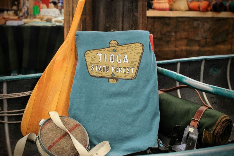 Tioga State Forest Unisex T-Shirt