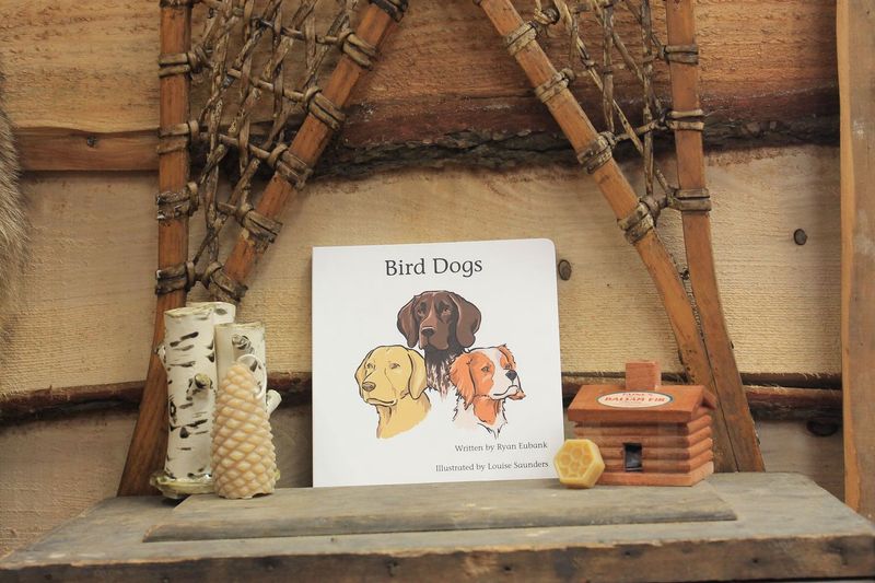 SET OF 7: Explore the Outdoors Board Books for Kids by Ryan Eubank