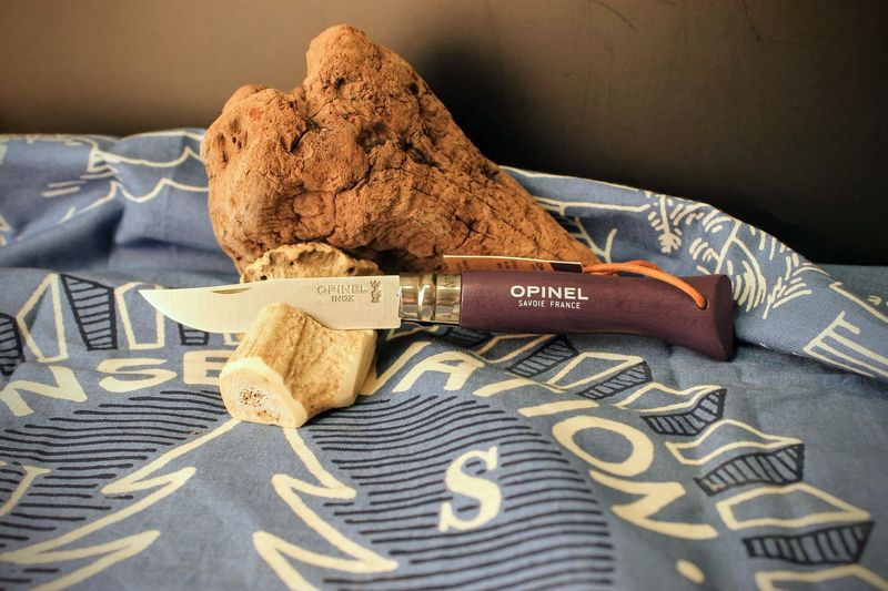 Opinel No. 6 Stainless Steel Folding Pocket Knife