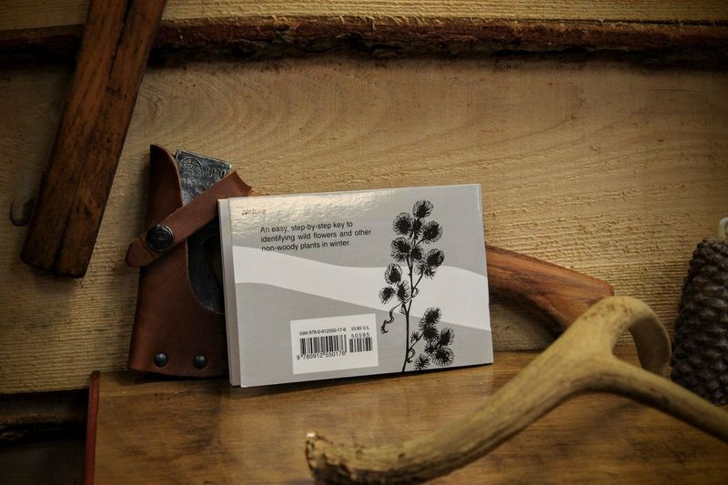 Winter Weed Finder: a Guide to Dry Plants in Winter by Dorcas S. Miller