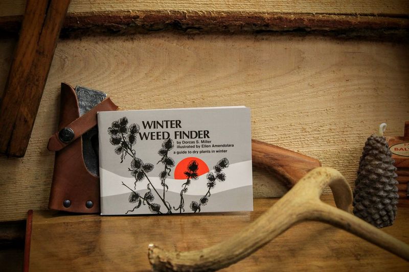 Winter Weed Finder: a Guide to Dry Plants in Winter by Dorcas S. Miller