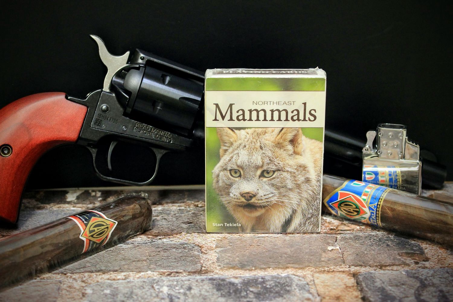 Mammals of the Northeast Playing Cards