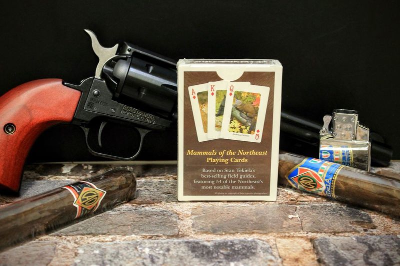 Mammals of the Northeast Playing Cards
